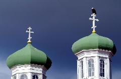 Ein Weißkopfseeadler sitzt auf dem Kreuz eines orthodoxen Kirchturms