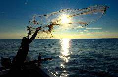 Tsunami survivor Roji Zamsudeen throws his fishing net, provided by ACT International, as the sun rises over the Indian Ocean near Hambantota, on Sri Lanka's southern coast.