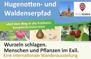 wurzeln schlagen - ausstellungsplakat